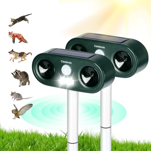 Solar and USB Charging