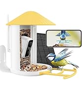 NETVUE Birdfy -Smart Bird Feeder Camera, Auto Record and Save Bird Videos & Push Motion Notificat...