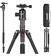 NEEWER LITETRIP LT07 61