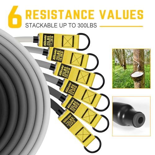 300lbs Fitness Exercise Bands with Handles