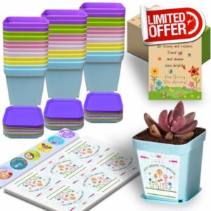 Gifts for Students from Teachers