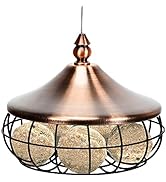 GYMAX Bird Feeder, Outdoor Squirrel-Proof Bird Feeder Station with Stainless Steel Wire and Metal...