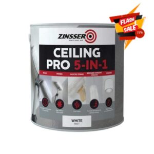 Zinsser ZN7380002C1 Ceiling Pro 5-In-1