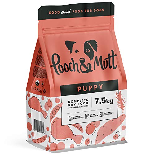 Chicken & Superfood Blend