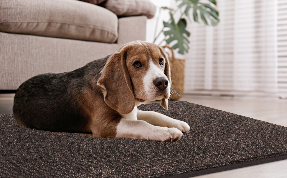 FCSDETAIL Dirt Trapper Indoor Door Mat