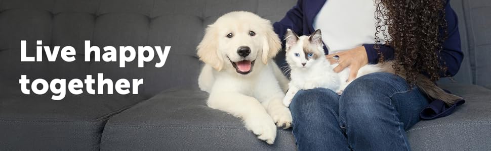 PetSafe, dog and cat products, pet fountain, cat flap, dog door, pet toys, cat fountain, kurgo