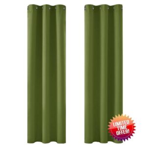 Deconovo Super Soft Thermal Insulated Curtains Blackout Curtains Eyelet Curtains for Bedroom Grass W42 x L84 Inch Two Panels
