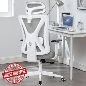 KERDOM Office Desk Chair