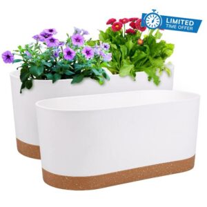 QCQHDU 2 Pack Window Boxes Planters