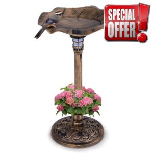 COSTWAY Bird Bath