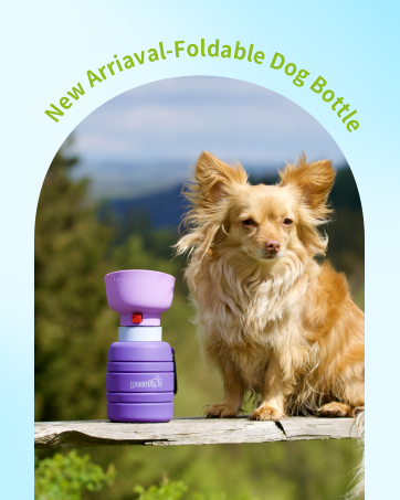 drinking bottle