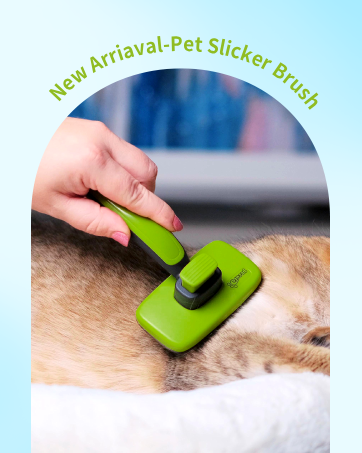 pet trolley