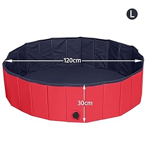 dog pool