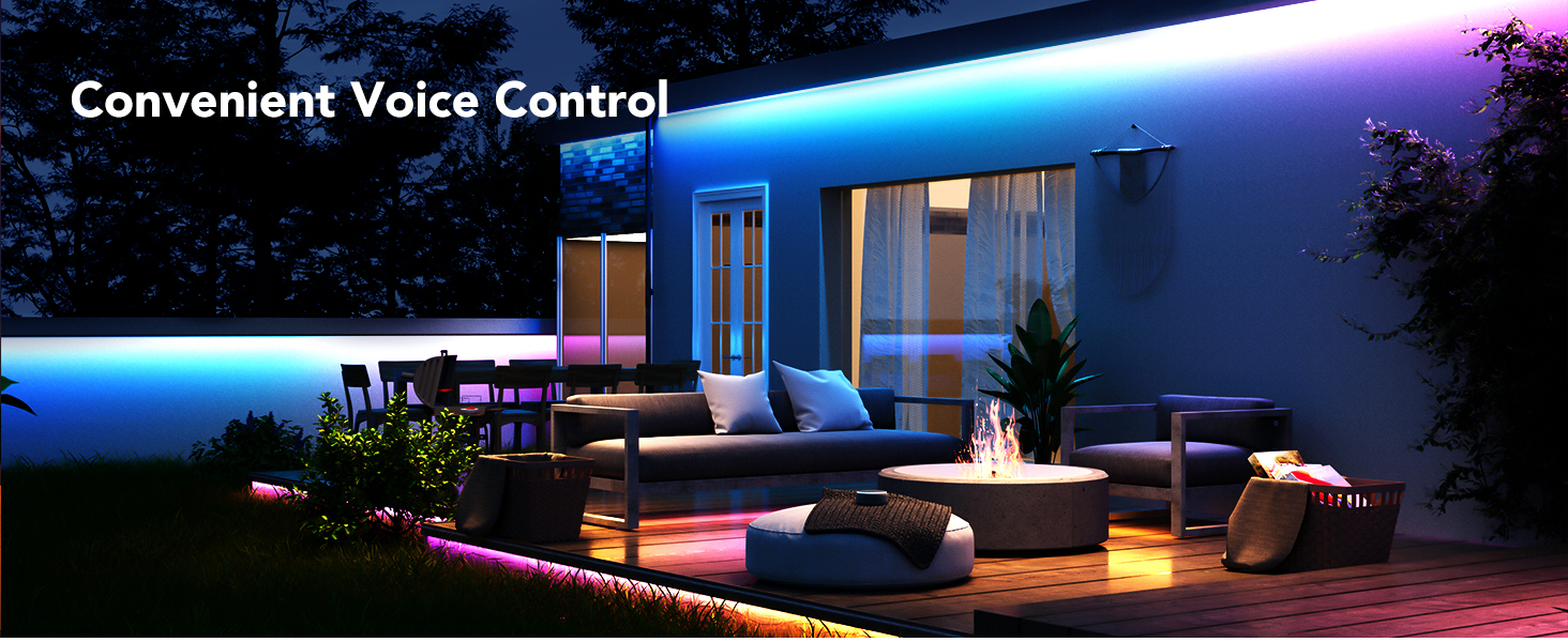 H6176 Voice Control