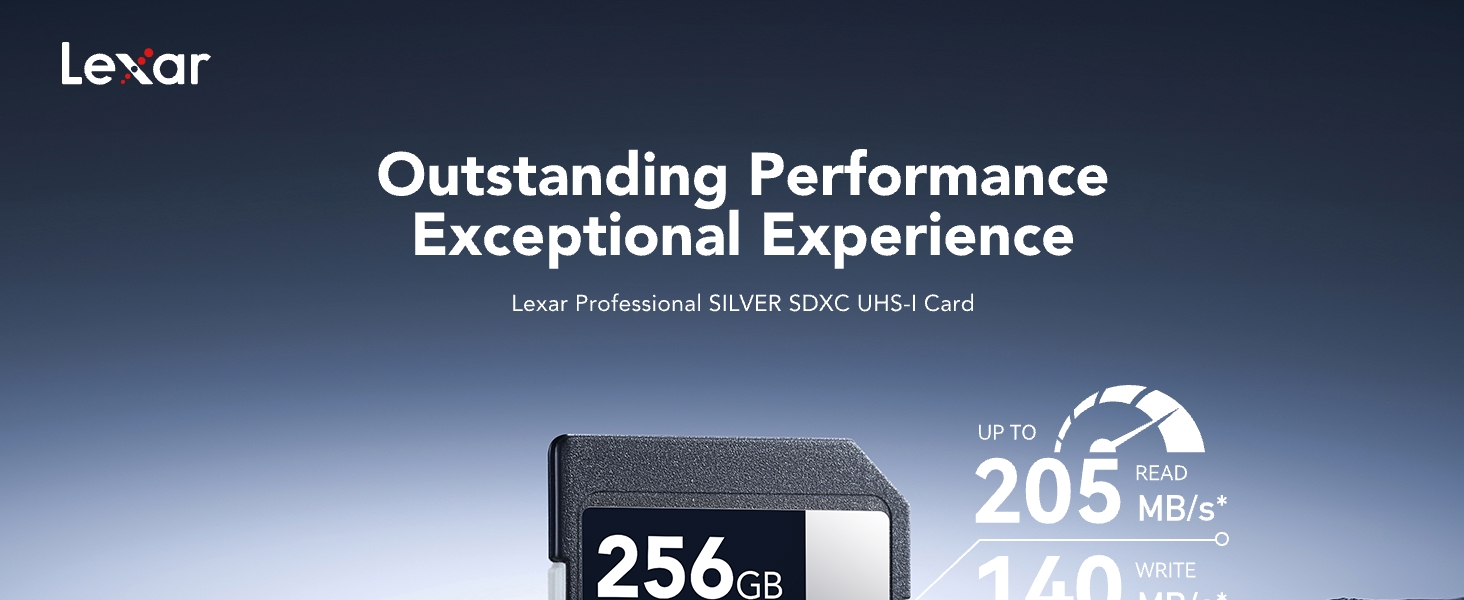 Lexar SD Card Silver 256GB