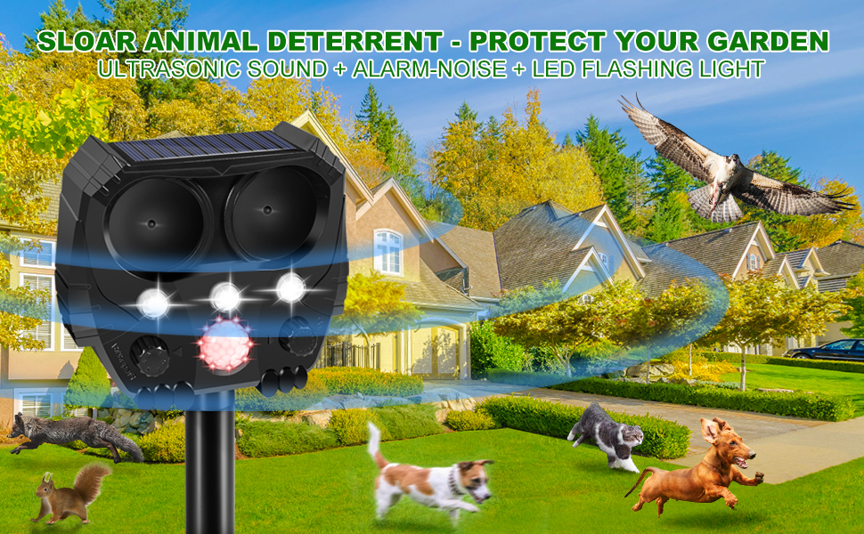 Garden Cat Repellent