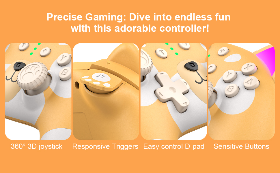 switch controller