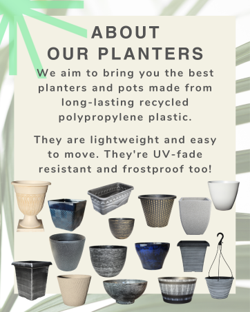 We use paper pulp packaging instead of plastic