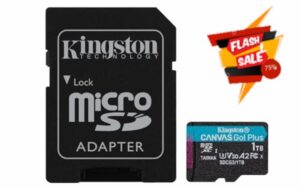 Kingston Canvas Go! Plus microSD memory card Class 10