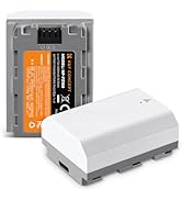 USB C camera battery