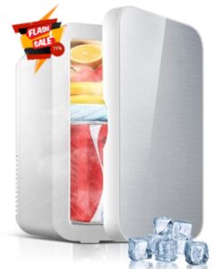 Evolpor Mini Fridge
