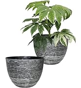 Verdant Living 2 Stone Colour Contemporary Square Planters Large Containers