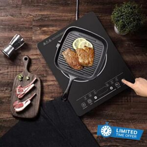 Panana Single Induction Hob