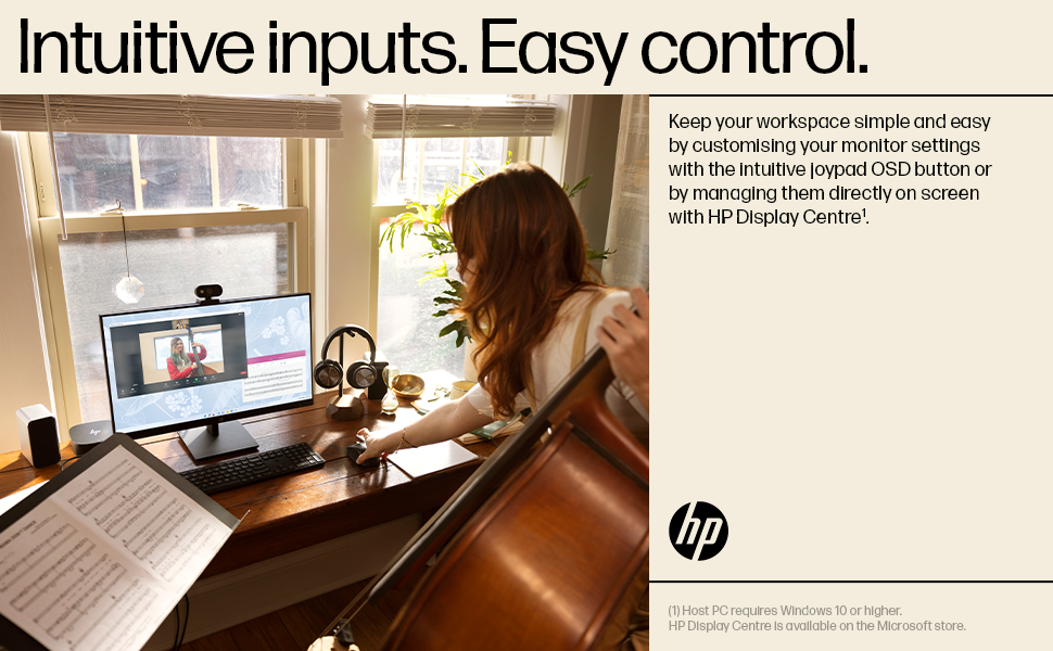 HP Monitor
