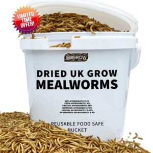 Premium Dried Mealworms in 5L