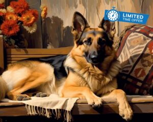 PIPISKY Paint by Number for Adults on Canvas