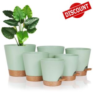 FORAGIFT Self-Watering Plant Pots Indoor