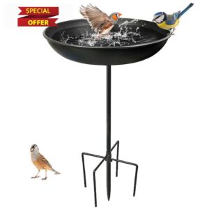 Bird Bath for Garden