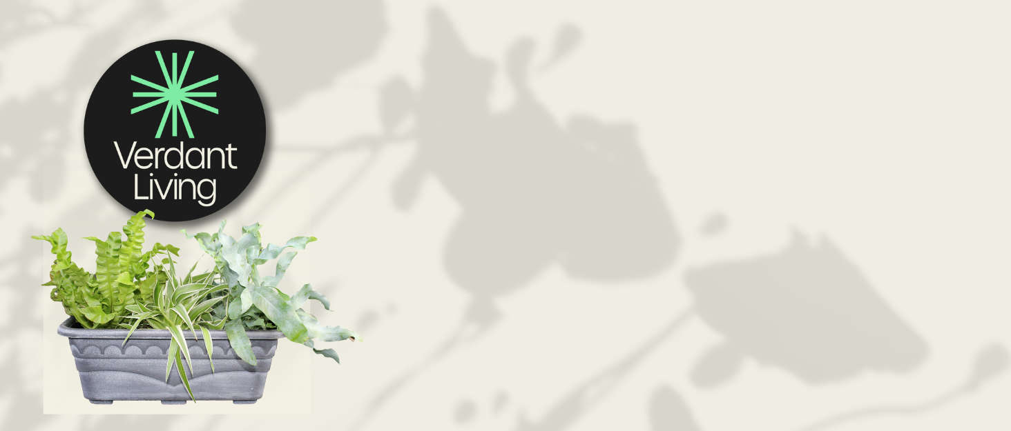 Verdant Living: Green Living