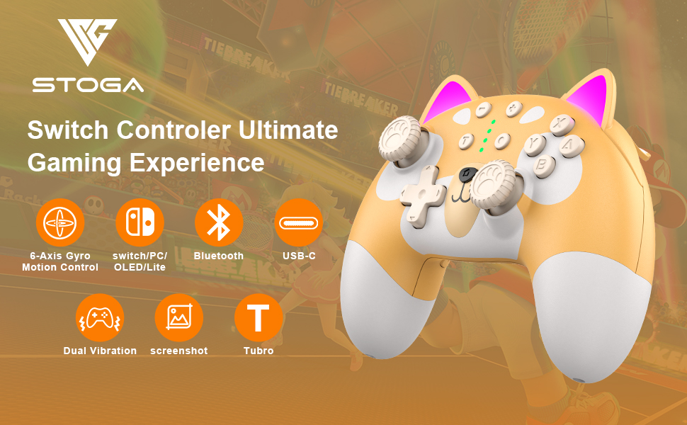 switch controller