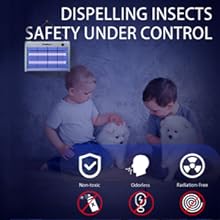 fly killers for the home indoor