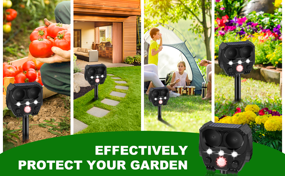 Garden Cat Repellent