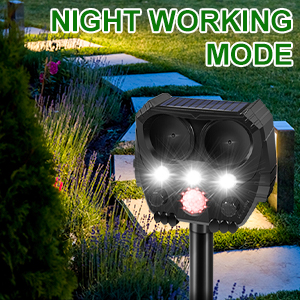 Garden Cat Repellent