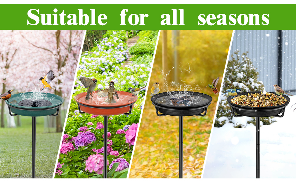 Bird Bath Bowl Spa