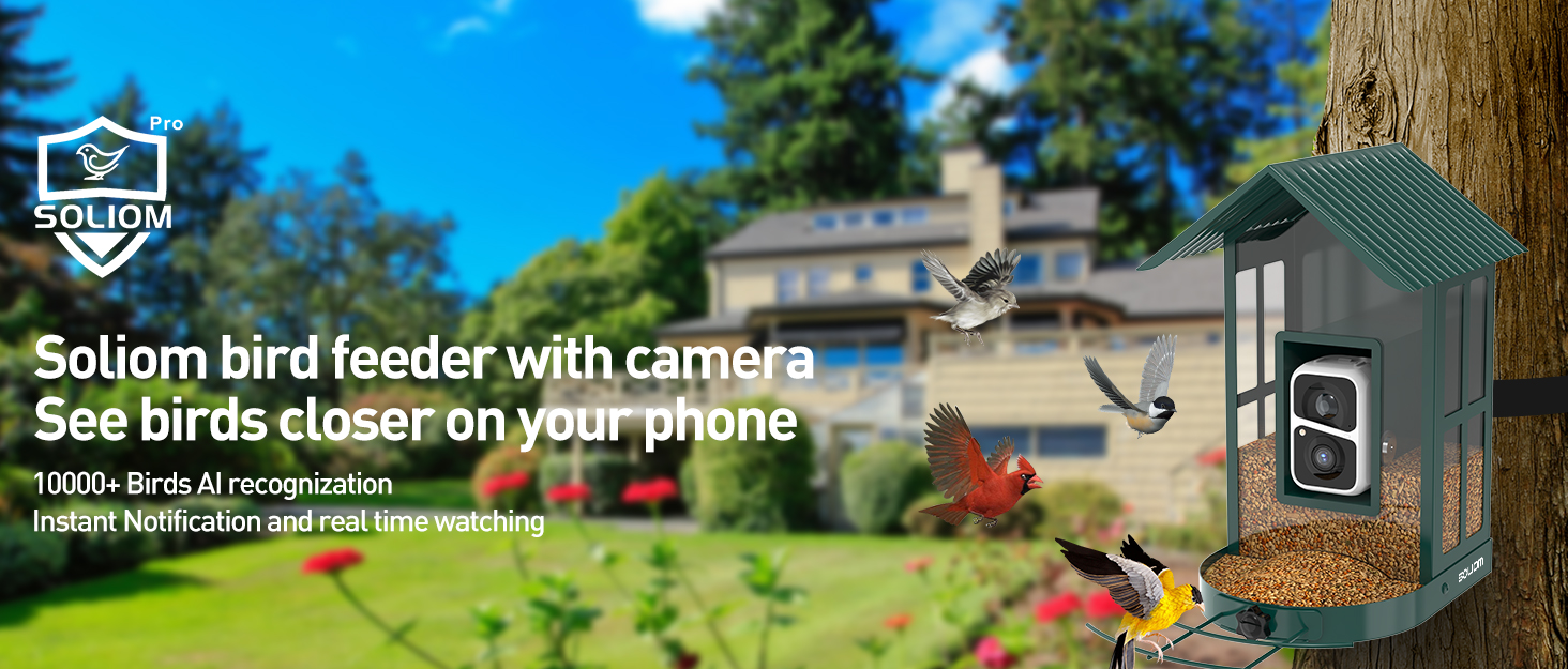 bird feeder camera