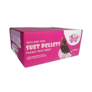Wild Bird Food Berry Flavoured Suet Pellets