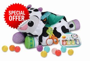 VTech Baby Moosical Activities Ball Pit