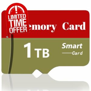 1TB SD Card