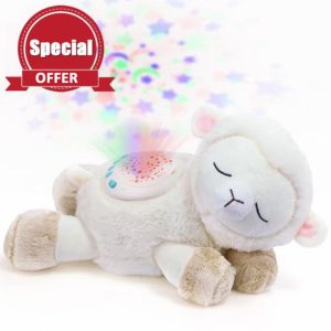 Dreamegg Baby Sleep Aid