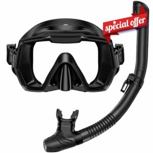Snorkel Set Adults Snorkeling Gear Anti-Leak and Anti-Fog Tempered Glass Lens Panoramic View Swim Mask Dry Top Snorkel Kit for Snorkeling Scuba Diving Swimming Travel with Carry Bag