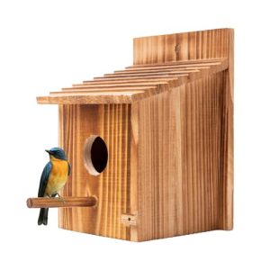 Wooden Bird House with Detachable Perch