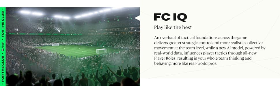 FC 25