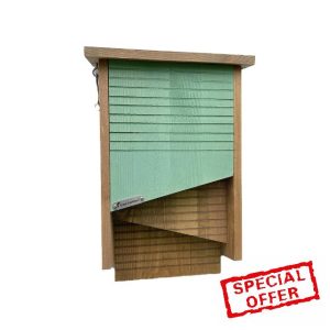 Green Feathers Wooden Bat Box for Outdoors