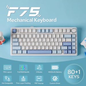 75% Wireless Gaming Keyboard with Five-Layer Padding&Knob