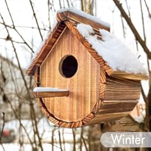 Hanging Bluebird House