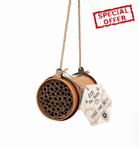 Marie Curie Solitary Bee Nesting Box for Gardens